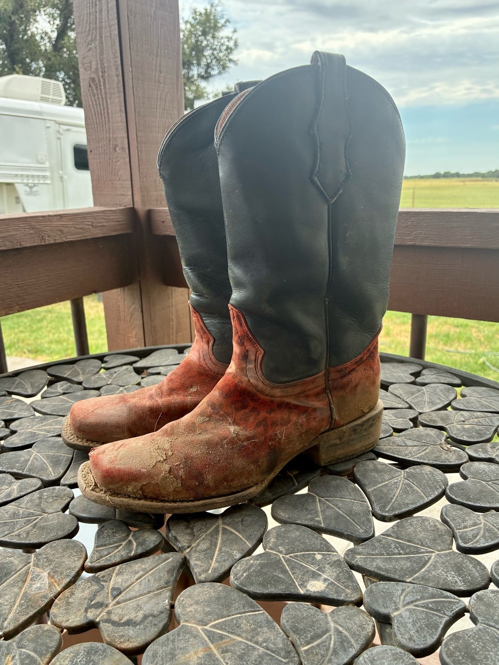 Circle G Boots -teen-